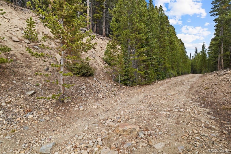 773 Harris Cir, Idaho Springs, CO 80452