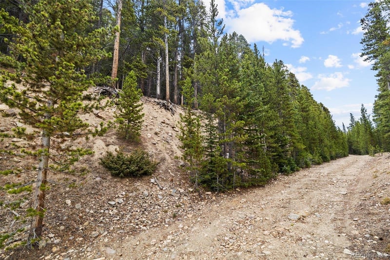 773 Harris Cir, Idaho Springs, CO 80452