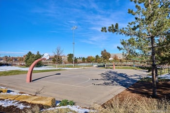 19812 Rosewood Ct, Parker, CO 80138