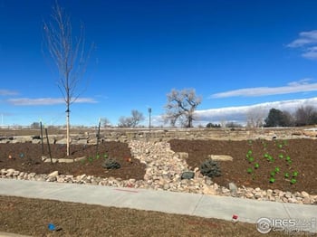 938 Langdale Dr, Fort Collins, CO 80526