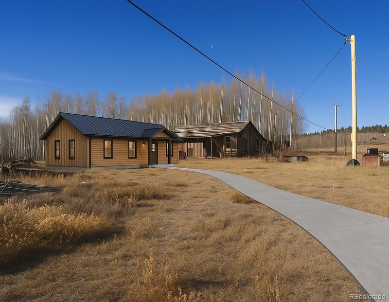 223 Breakneck Pass Rd, Fairplay, CO 80440