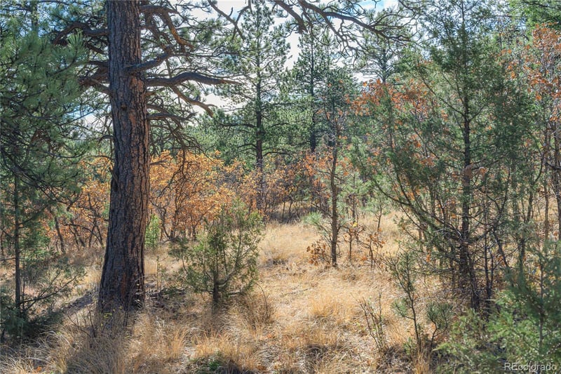 14341 North Rg, Weston, CO 81091