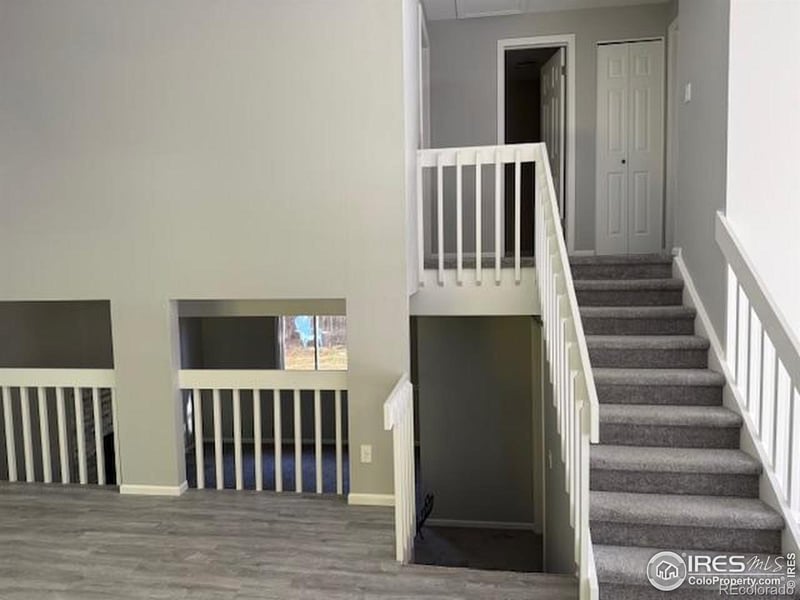 4436 Hollyhock St, Fort Collins, CO 80526