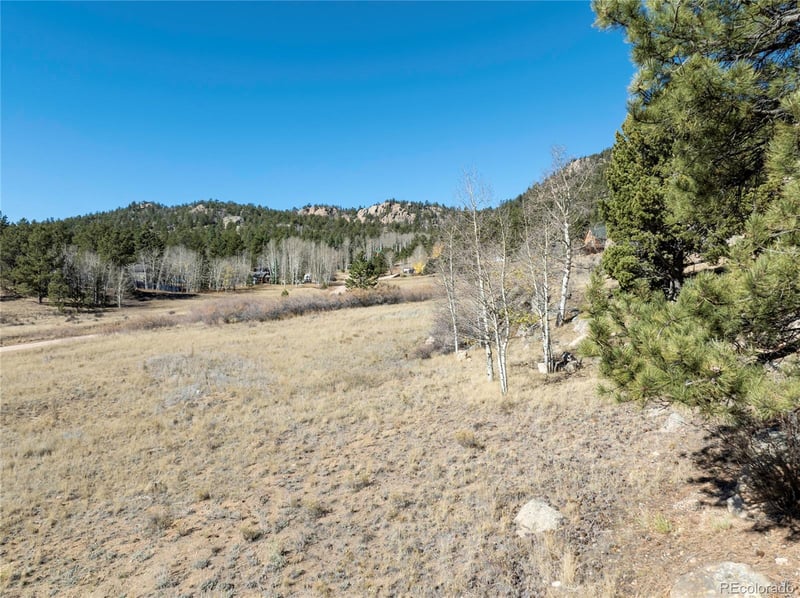 480 Arapaho Rd, Lake George, CO 80827
