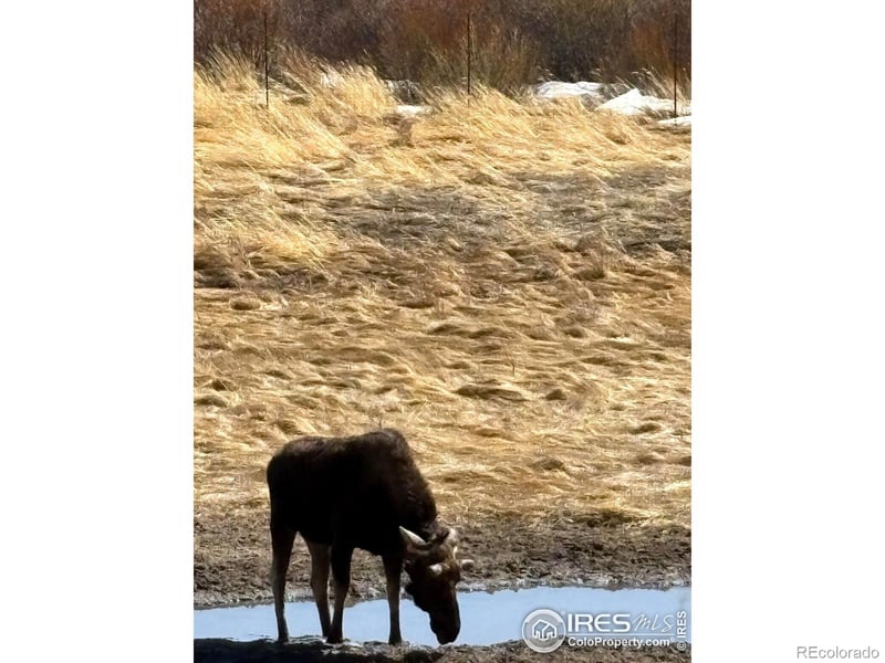 1565 Highway 66 #33, Estes Park, CO 80517