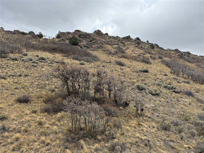 Lot 133 Griffiths Dr, Fort Garland, CO 81133