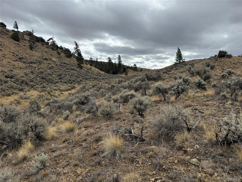 Lot 133 Griffiths Dr, Fort Garland, CO 81133