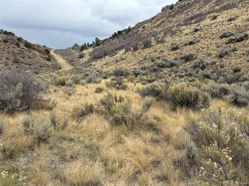 Lot 133 Griffiths Dr, Fort Garland, CO 81133