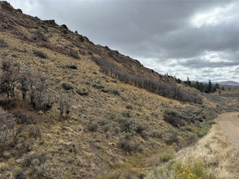 Lot 133 Griffiths Dr Lot 133, Fort Garland, CO 81133