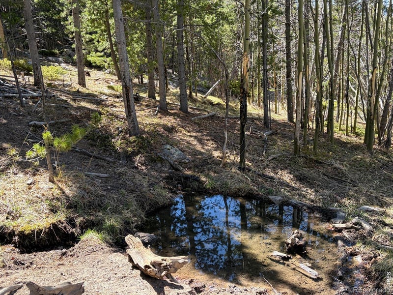 11 Bear Gulch Rd, Red Feather Lakes, CO 80545