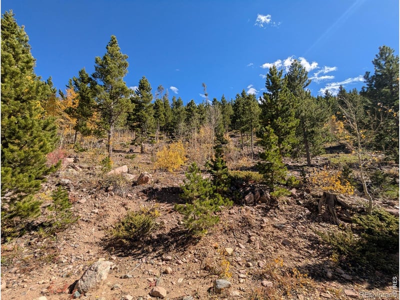 11 Bear Gulch Rd, Red Feather Lakes, CO 80545