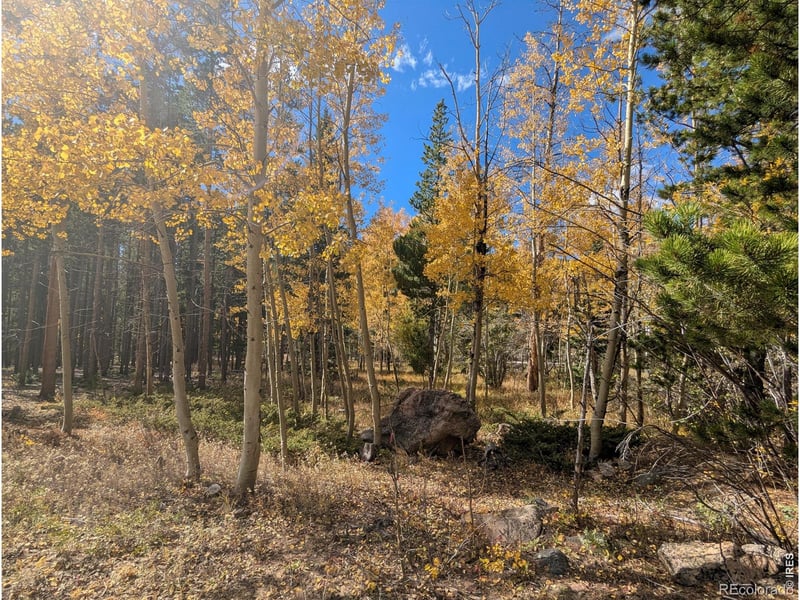 11 Bear Gulch Rd, Red Feather Lakes, CO 80545