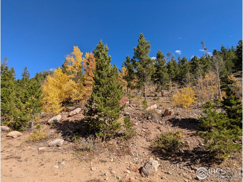 11 Bear Gulch Rd, Red Feather Lakes, CO 80545