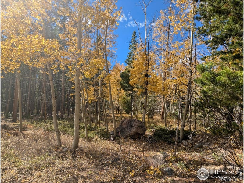 11 Bear Gulch Rd, Red Feather Lakes, CO 80545