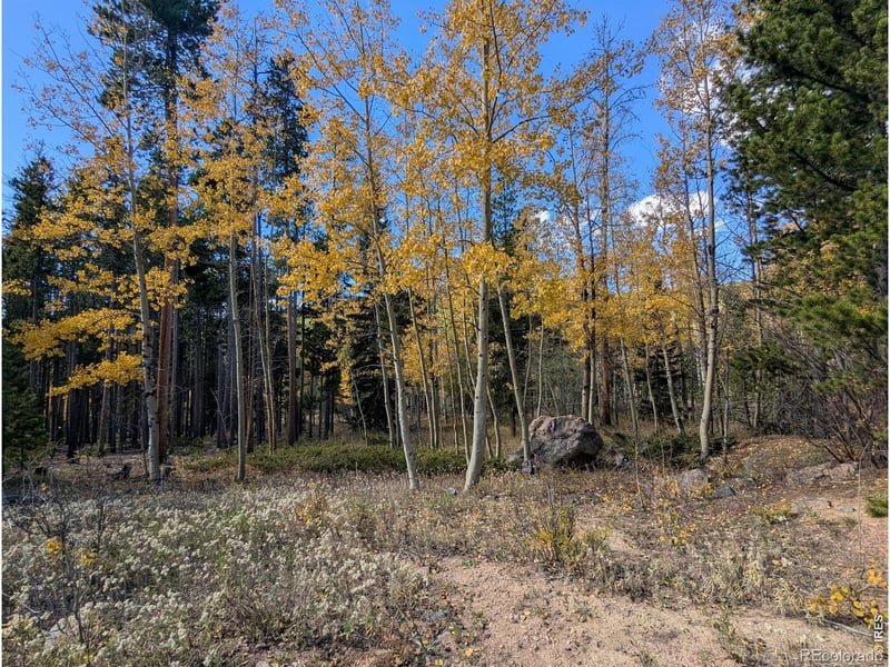 11 Bear Gulch Rd, Red Feather Lakes, CO 80545