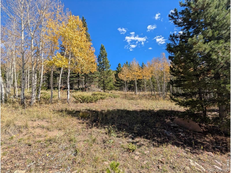 2174 Bear Gulch Rd, Red Feather Lakes, CO 80545
