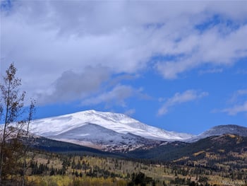 174 Skid Ct, Fairplay, CO 80440