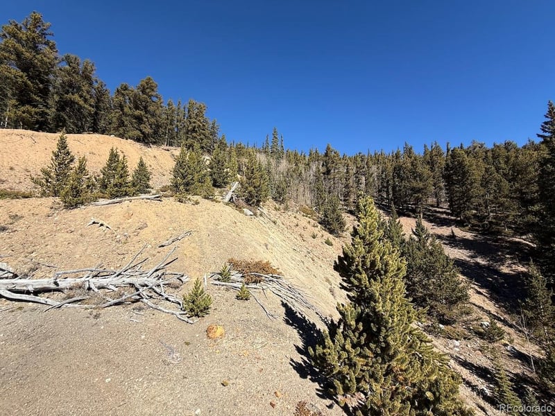 County Road 787, Alma, CO 80420