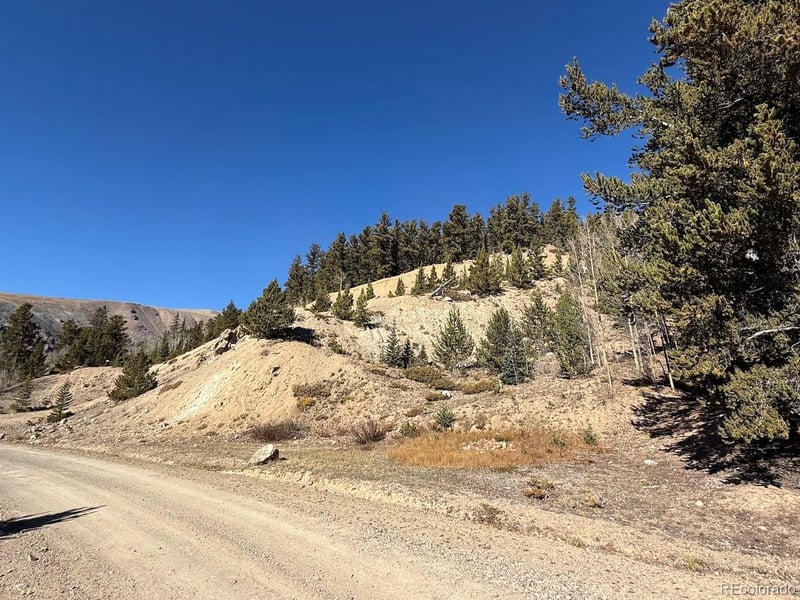 County Road 787, Alma, CO 80420