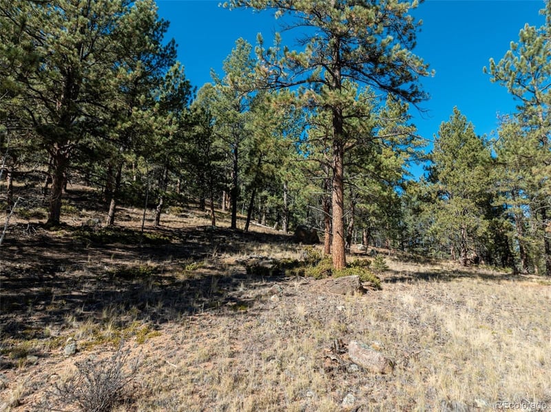 205 Stonehenge Dr, Florissant, CO 80816