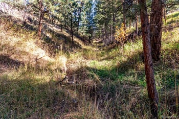 27406 Mountain Park Rd, Evergreen, CO 80439