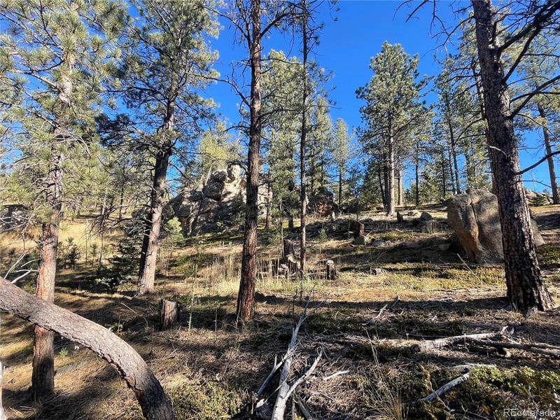 Shadow Mountain Dr, Conifer, CO 80433