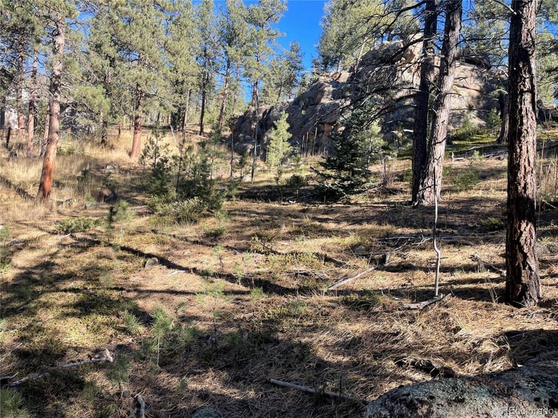 Shadow Mountain Dr, Conifer, CO 80433