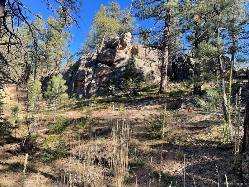 Shadow Mountain Dr, Conifer, CO 80433