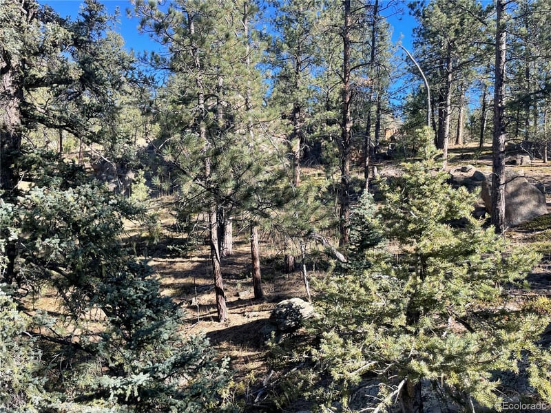 Shadow Mountain Dr, Conifer, CO 80433