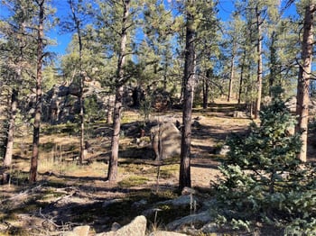 Shadow Mountain Dr, Conifer, CO 80433