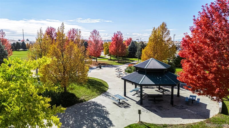 21300 42nd Ave, Denver, CO 80249