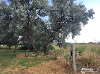 5818 County Road 22 #5, Longmont, CO 80504