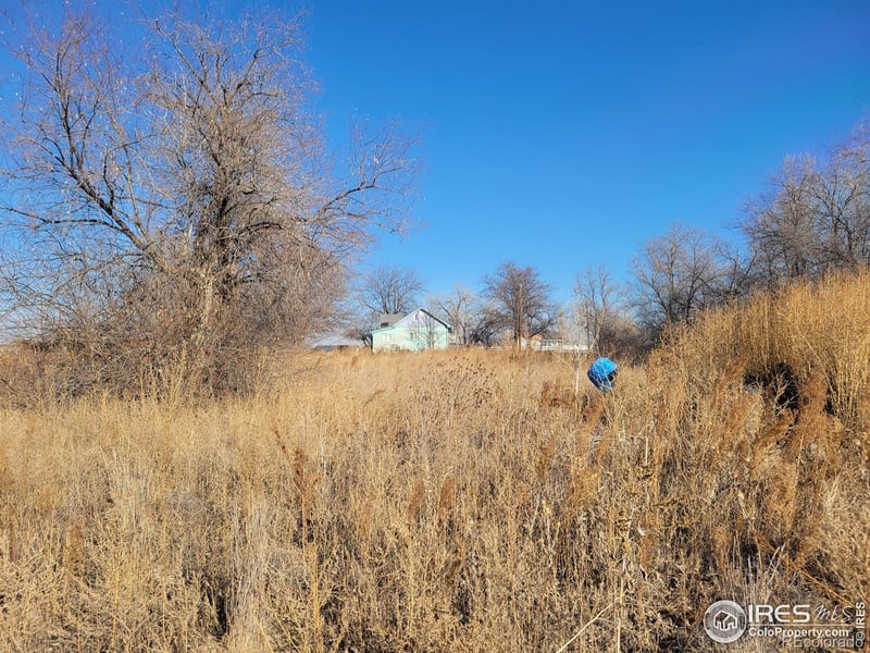 5818 County Road 22 #5, Longmont, CO 80504