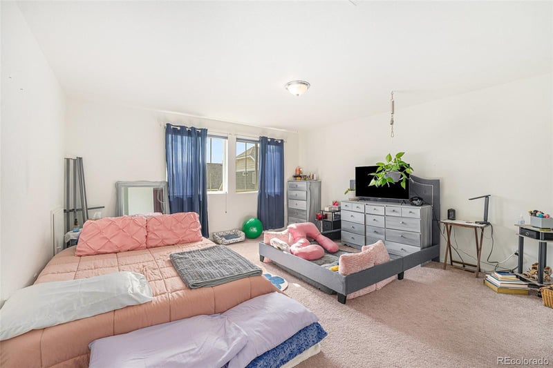 18667 54th Pl, Denver, CO 80249