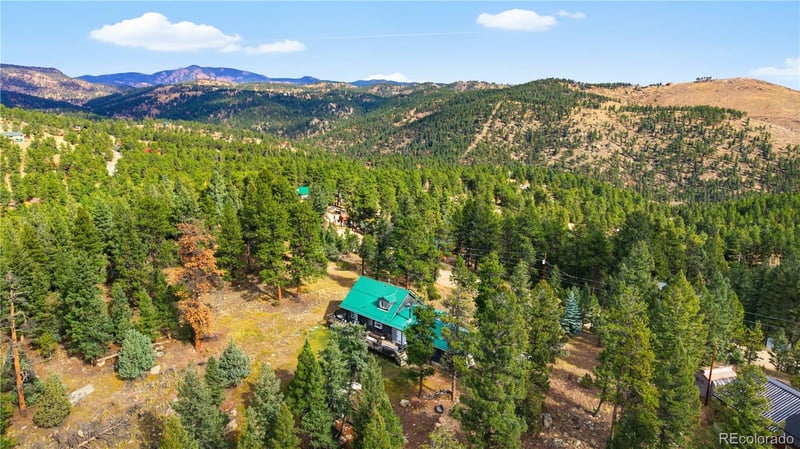 243 Hi Meadow Dr, Bailey, CO 80421