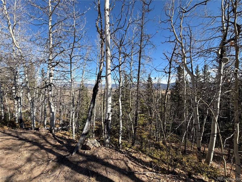 2201 Overland Cir, Jefferson, CO 80456