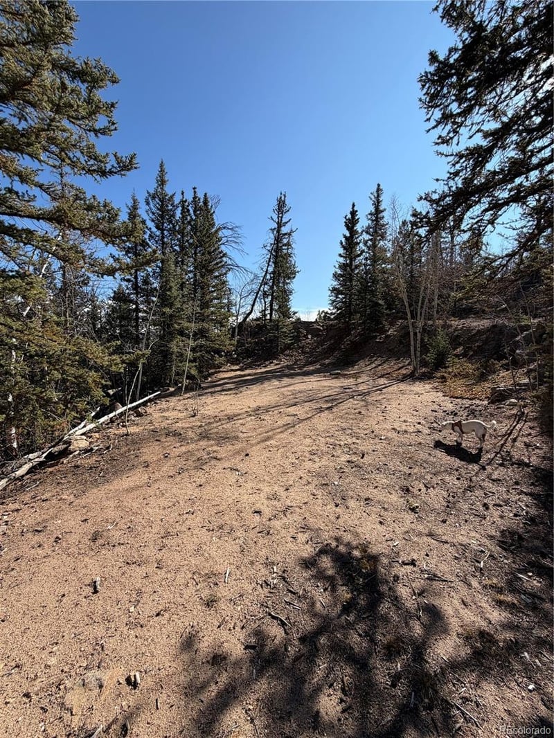 2201 Overland Cir, Jefferson, CO 80456