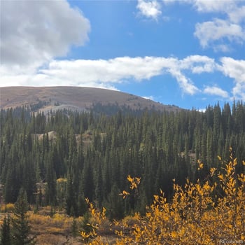 5347 Monitor Lode Claims, Leadville, CO 80461