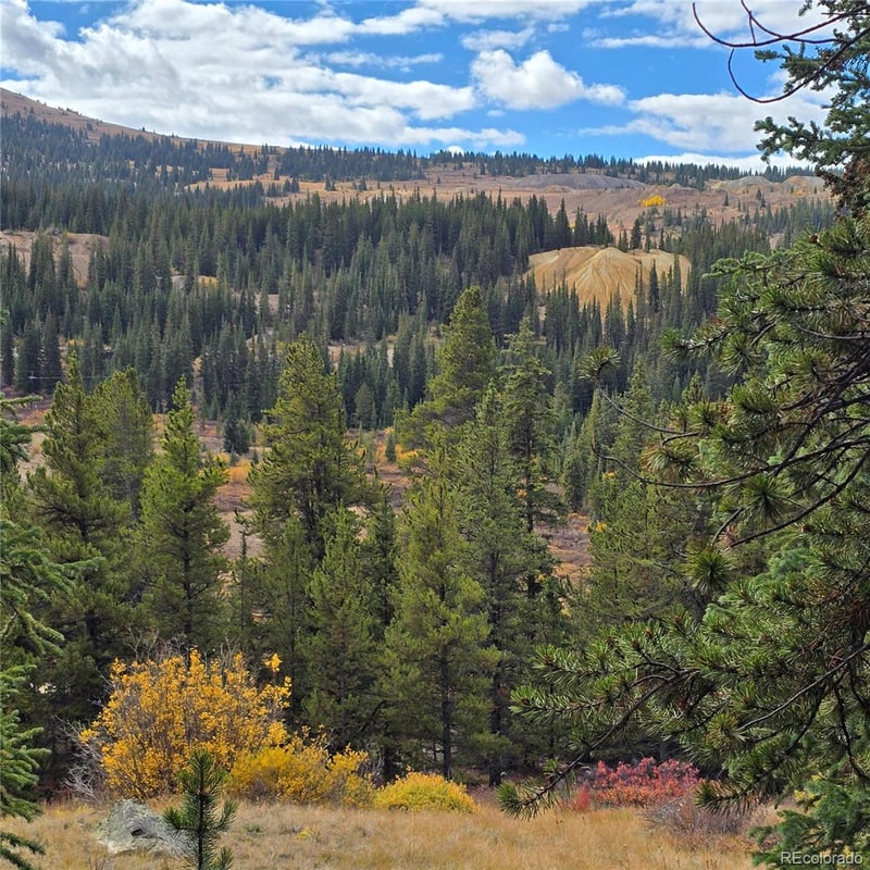 5347 Monitor Lode Claims, Leadville, CO 80461