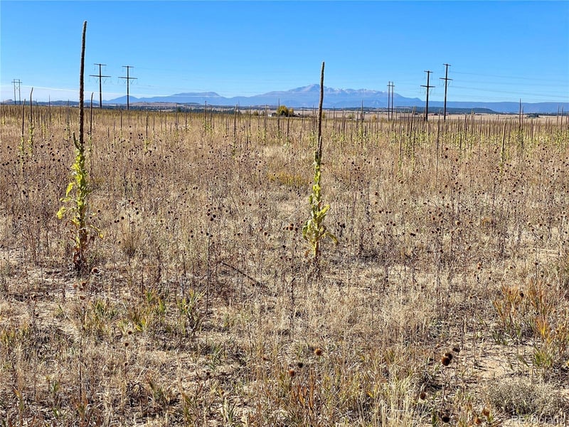 Parcel 1 County Road 98, Elbert, CO 80106