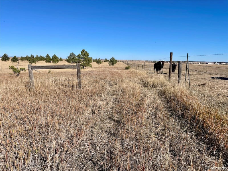 Parcel A County Road 98, Elbert, CO 80106