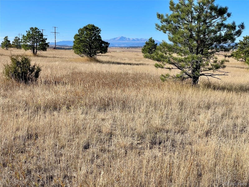 Parcel A County Road 98, Elbert, CO 80106