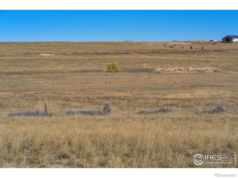 54215 County Road 21, Carr, CO 80612