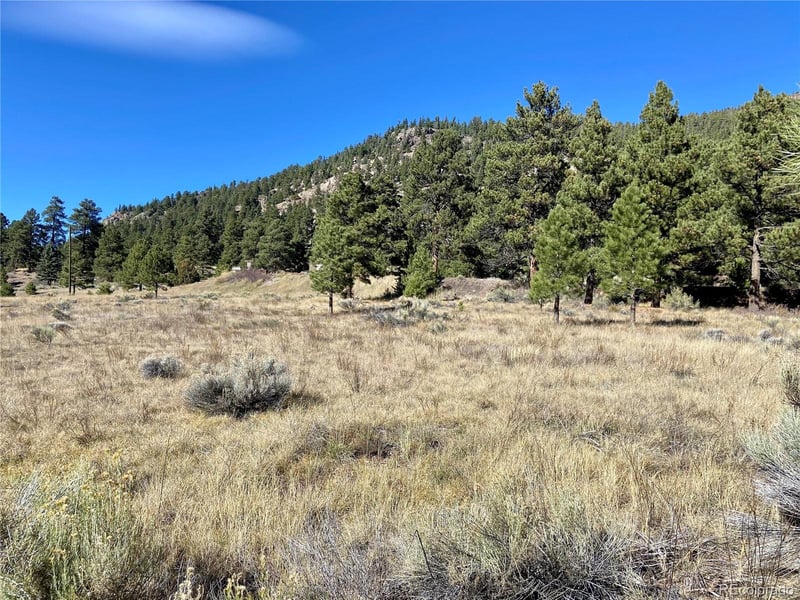 166 Lonesome Pine Dr Lot 166, Antonito, CO 81120