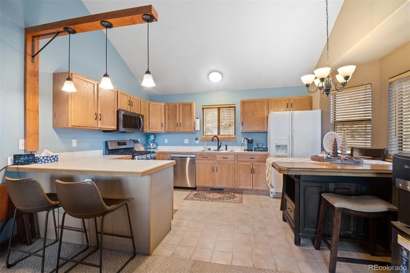 609 Gold Flake Ter, Bailey, CO 80421