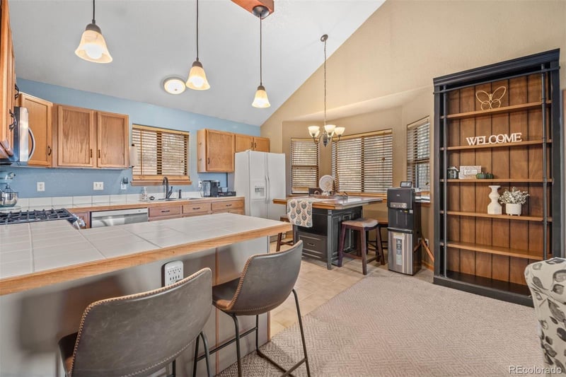 609 Gold Flake Ter, Bailey, CO 80421