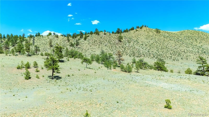 1408 Larimer Dr, Hartsel, CO 80449