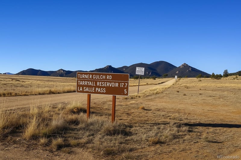 1408 Larimer Dr, Hartsel, CO 80449