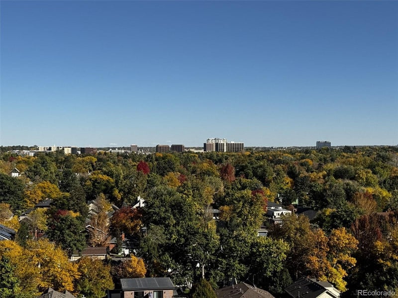 460 Marion Pw #1302, Denver, CO 80209