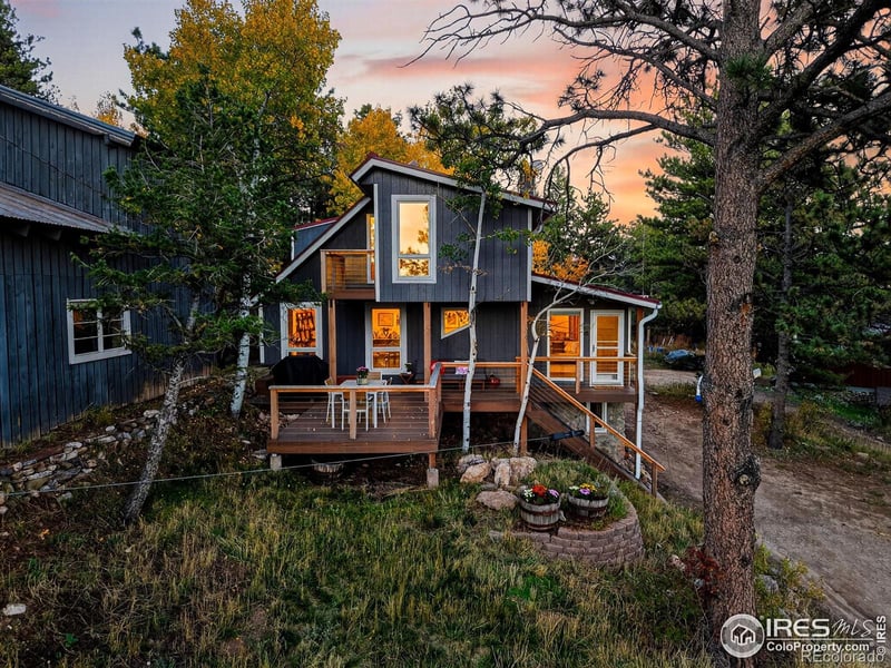 1707 Ridge Rd, Nederland, CO 80466